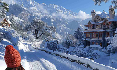 Why to choose a Traveller from Delhi to Shimla Tempo Traveller Why to choose a Traveller from Delhi to Shimla Tempo Traveller